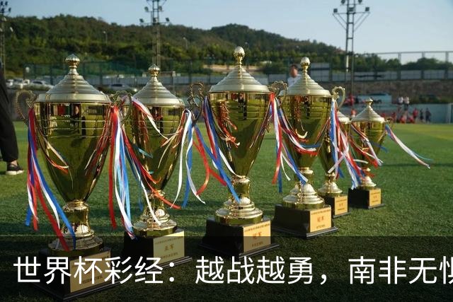 世界杯彩经：越战越勇，南非无惧加拿大